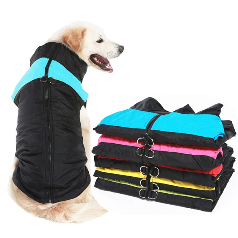 WuffHauss Guard – Bequeme Winterjacke für Haustiere