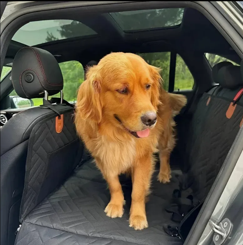 WuffHauss Shield – Luxus-Autositzschutz für Hunde